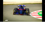Toro rosso fans