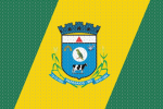 Papagaios Cidade