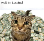 ASDFgdhjredfghngbn