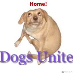 (Halloween Update!) Dogs Home