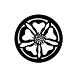 The White Lotus Dynasty