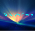 Survey rbx group