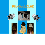 Riley's very good group