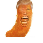 cheeto i the best