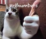 Mrthumbers