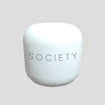 Sоciеty