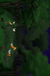 Warrior Cats RP Server Members