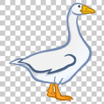 Duck / Swan Alliance