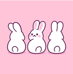 Kittens_Puppies_arecute