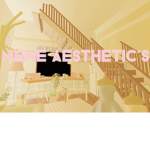 meme aesthetics