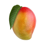 Mango Rbx Group