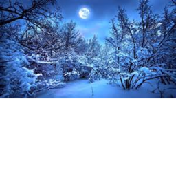 Winter Moon Resorts's TRAINING CENTER