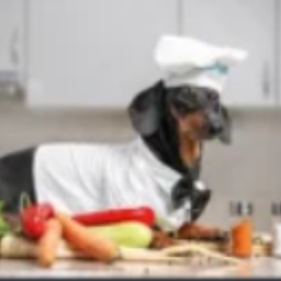 weiner dog homestore [release]