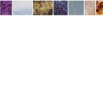 Glitter gun giveaway