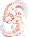 (Axolotl Fan group)