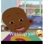 captain levis cleaning tools