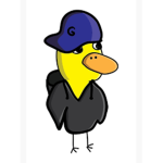 coolducks