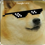 Doge fan_group