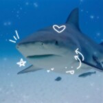 ヾ(｡ < ω < ｡)ノ