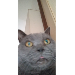 Max <33