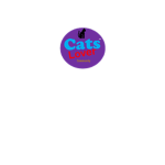 IM NOT A YOUTUBER