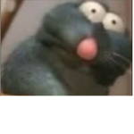 Rat bite fever