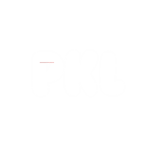 Professional Kickball League