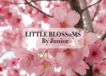 LITTLE BLOSS0MS