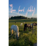 [love heart stables]