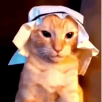 Habibi Nation