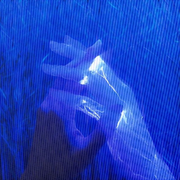 ♡
