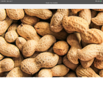 Peanut’s club