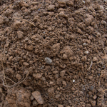 Dirt Revolution
