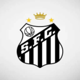 Santos II Match Pitch icon