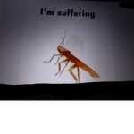The Dancing CacaRoaches