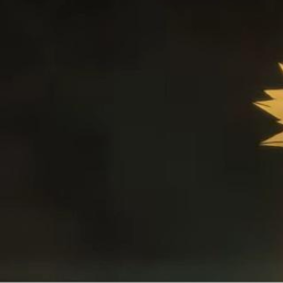 ✦