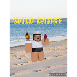 Wild Dance’s Interview Center