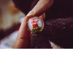 Piggy Gang @~@