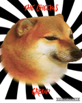 cheems doge group