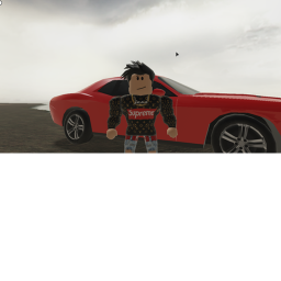 Sharky Robloxians's racing