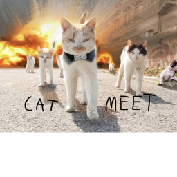 Meeting not done