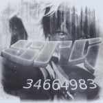 Insurgency | SRG