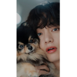 Bts_army_latinas