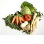 The Vegetarians