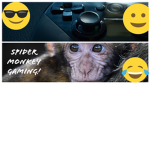 Spider Monkey Official Group