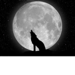 Wolfy Aesthetic