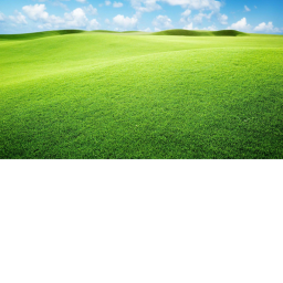 The Fields (Beta V.0.12)