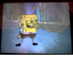 spung bob obby
