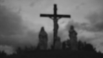/crows