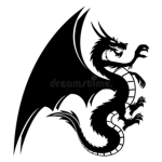 Shadow Mc. Dragons